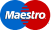pay maestro icon